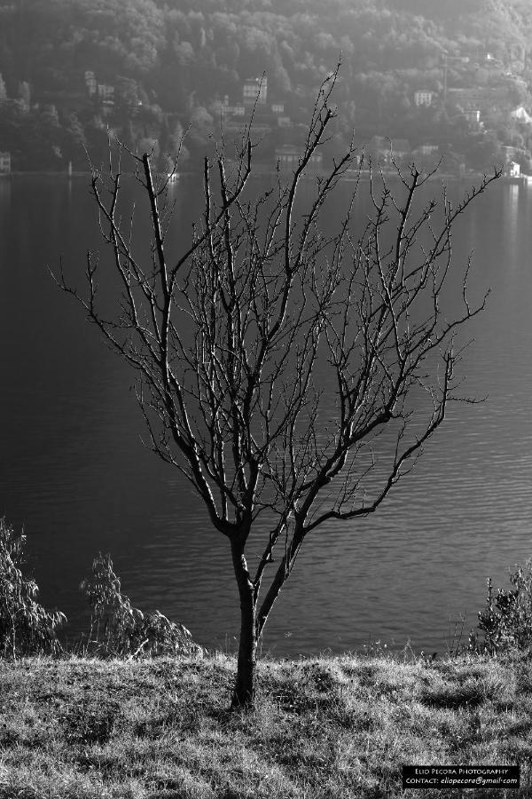 Appartamenti Monti Como Lake Brunate Luaran gambar